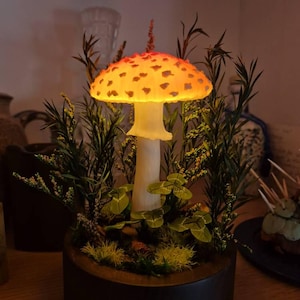 M hat ein Foto des gekauften Artikels hinzugefügt