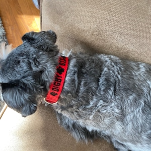 Anne added a photo of their purchase