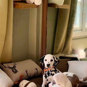 Kitty added a photo of their purchase