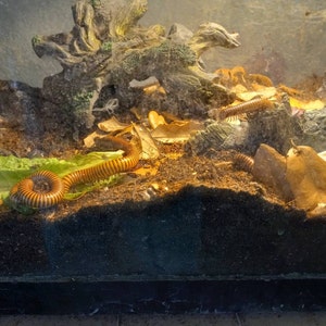 Susan added a photo of their purchase