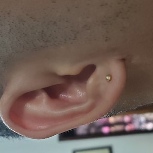 Rodolfo dodał(a) zdjęcie swoich zakupów