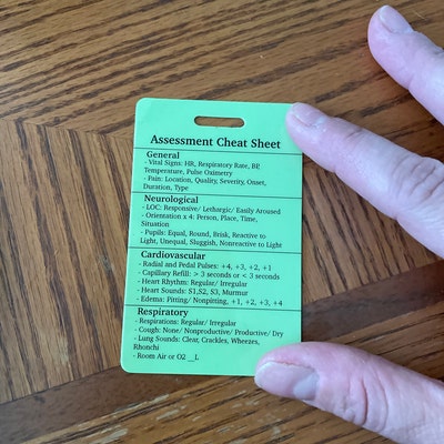 Head to Toe Assessment Nursing Reference Card and Checklist Badge Buddy ...