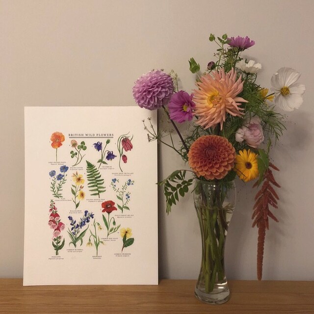 British Wild Flowers Print | Illustrated Giclée Print