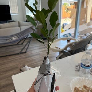 Cindy added a photo of their purchase