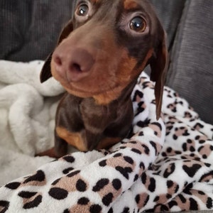 Gemma added a photo of their purchase