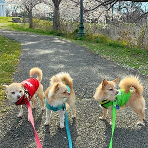 Reggie added a photo of their purchase