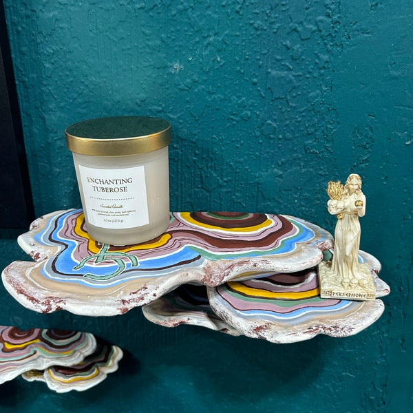 Ostrea Fungus Mushroom Shelf | Floating Shelf With Unique Matte Decor ...