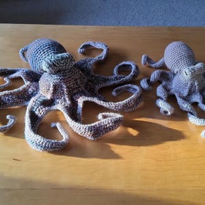 RACHEL added a photo of their purchase