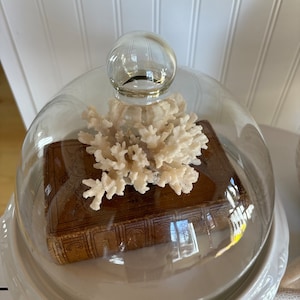 Michelle added a photo of their purchase