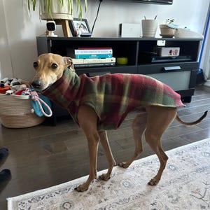 Lili added a photo of their purchase