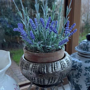 Cindy added a photo of their purchase