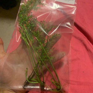 Gaby added a photo of their purchase