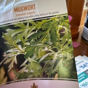 Nelia added a photo of their purchase