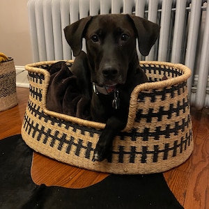 Patrice added a photo of their purchase