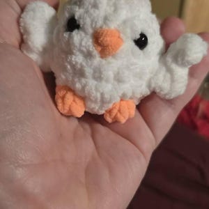 Jana added a photo of their purchase