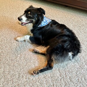 Sally ha añadido una foto de su compra