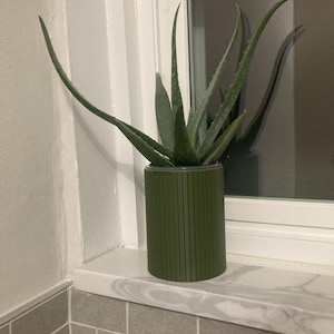 Grisel added a photo of their purchase