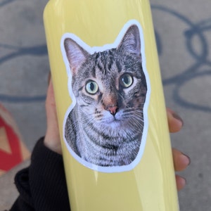 Watcharaphan added a photo of their purchase