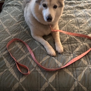 Todd a ajouté une photo de son achat