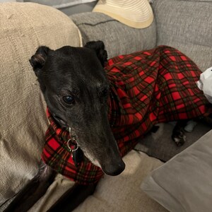 Savannah さんが購入した商品の写真を追加しました
