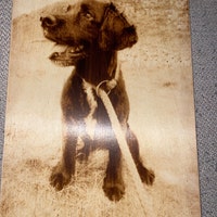 Meat Loaf,michael Lee Aday, American Singer, Songwriter and Actor ...