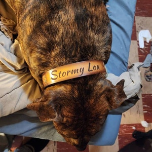 Charity added a photo of their purchase
