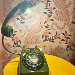 Wild added a photo of their purchase