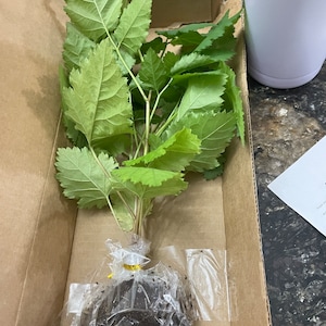 Stephen added a photo of their purchase