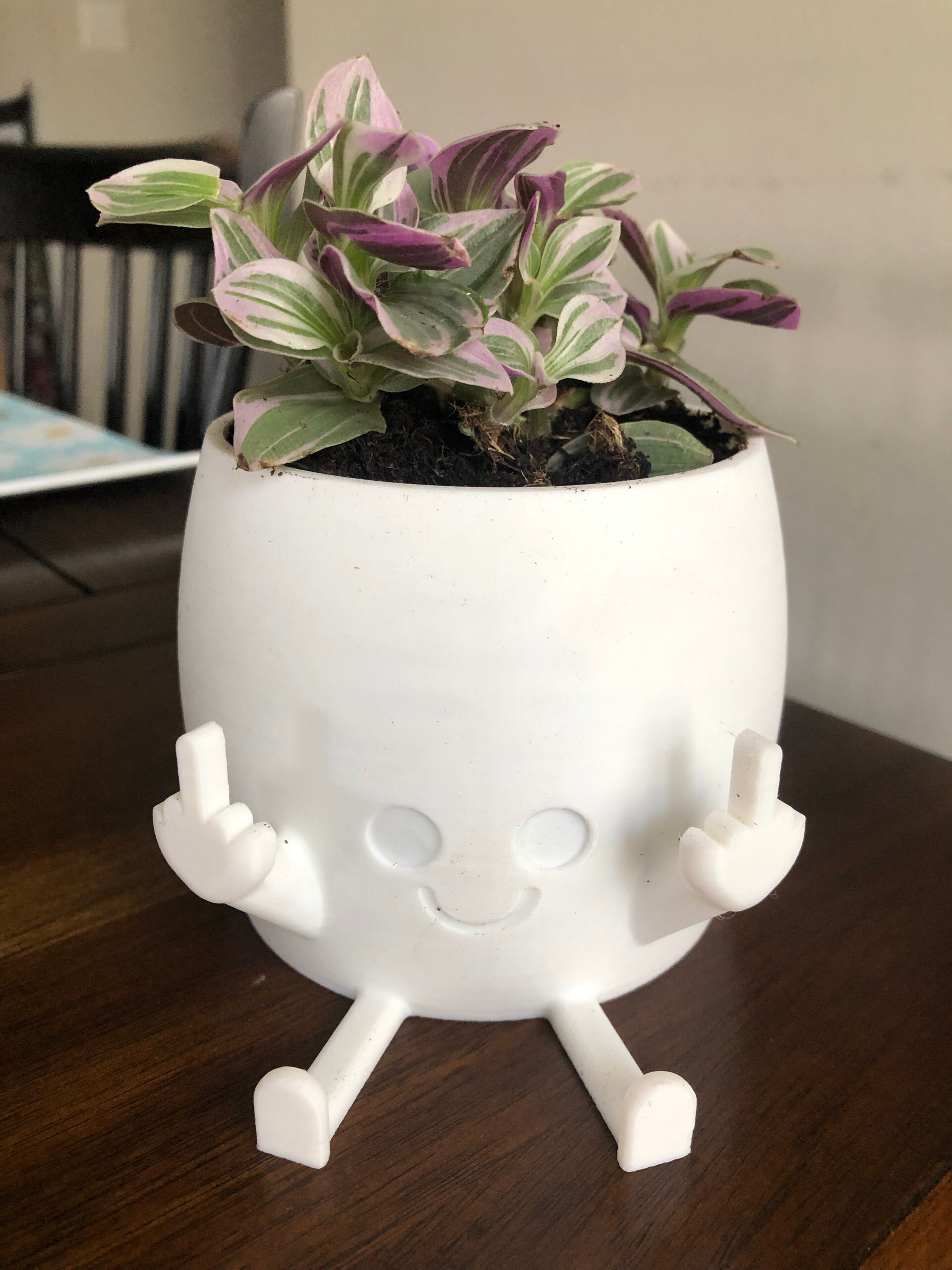 Middle Finger Planter