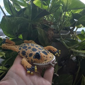Savannah added a photo of their purchase