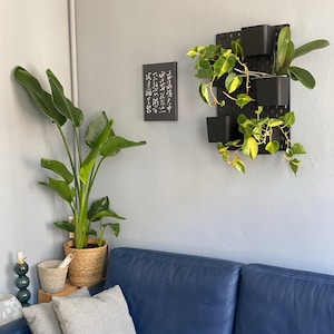 Daphne added a photo of their purchase