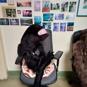 Rikki added a photo of their purchase