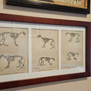 Sarah added a photo of their purchase