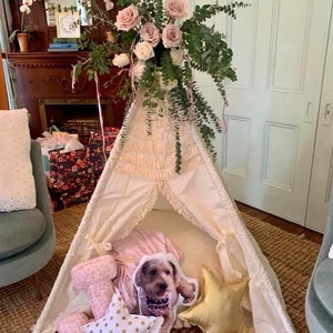 Dana added a photo of their purchase