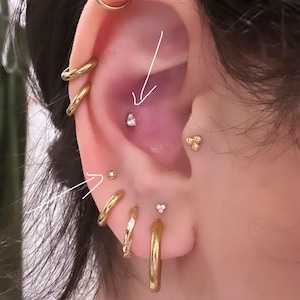 Taylor hat ein Foto des gekauften Artikels hinzugefügt