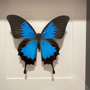 Comprador de Etsy ha añadido una foto de su compra