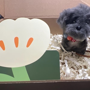 Dominique added a photo of their purchase