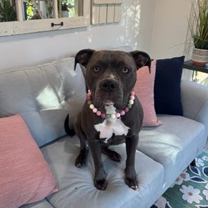 Donna added a photo of their purchase