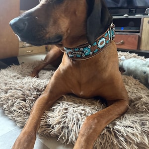 Keeley added a photo of their purchase