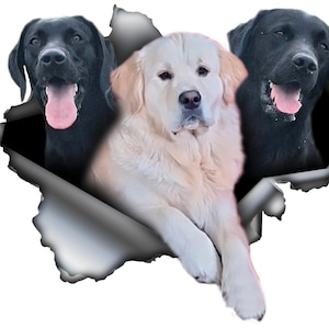 AM added a photo of their purchase