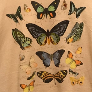 Dana added a photo of their purchase