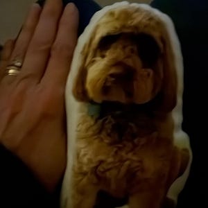 Deborah a ajouté une photo de son achat