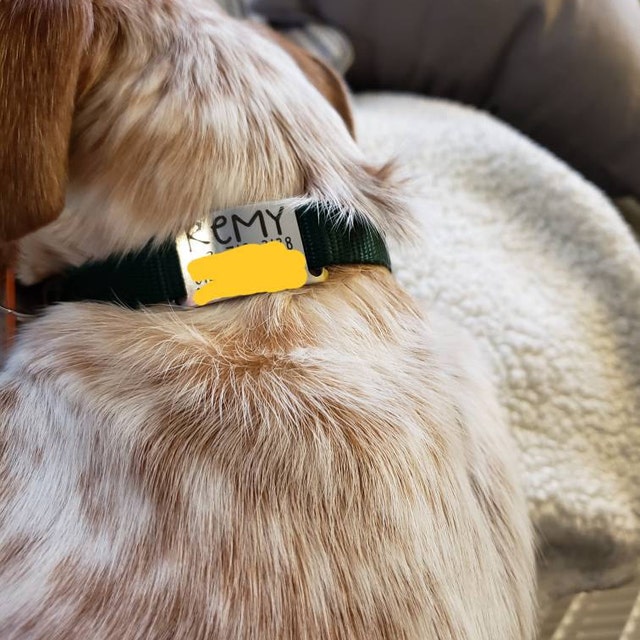 Personalized NAME PLATE Dog Collar Metal Engraved with 22 Etsy
