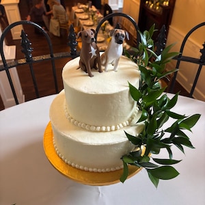 Denise added a photo of their purchase