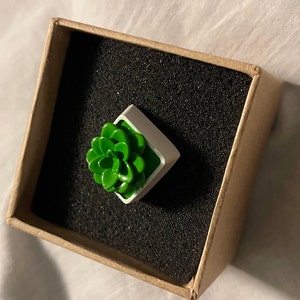 Hex added a photo of their purchase