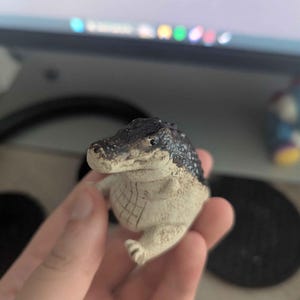 Tyler added a photo of their purchase