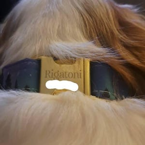 Lisa added a photo of their purchase