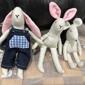 Alice added a photo of their purchase