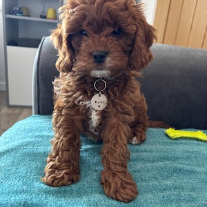 rhiannon added a photo of their purchase