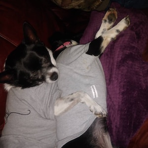 Terien added a photo of their purchase